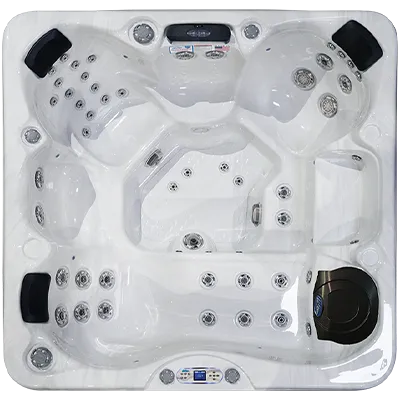 Avalon EC-849L hot tubs for sale in Lake Tahoe