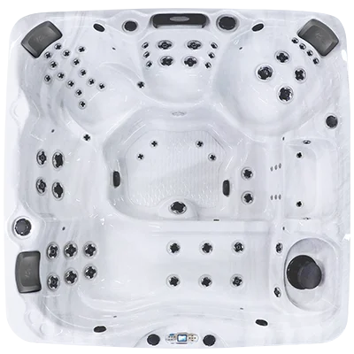 Avalon EC-867L hot tubs for sale in Lake Tahoe